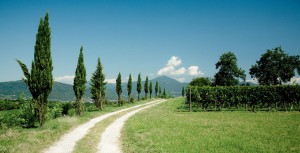 franciacorta strada