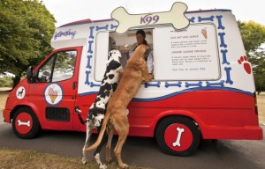 The world's first ice cream van for dogs is created to celebrate the Boomerang Pets Party.