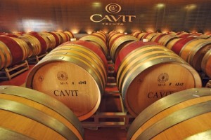 cantina-cavit01