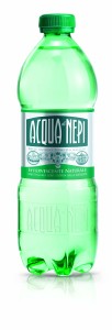 pet 0,5Lt  Acqua di Nepi