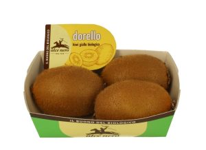 Dorello - Copia