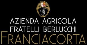 Berlucchi-logo-2013-_D-nero-web