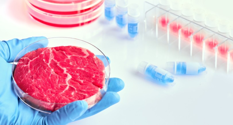 Carne sintetica, un italiano su quattro è pronto a mangiarla. L'Indagine di Eurispes