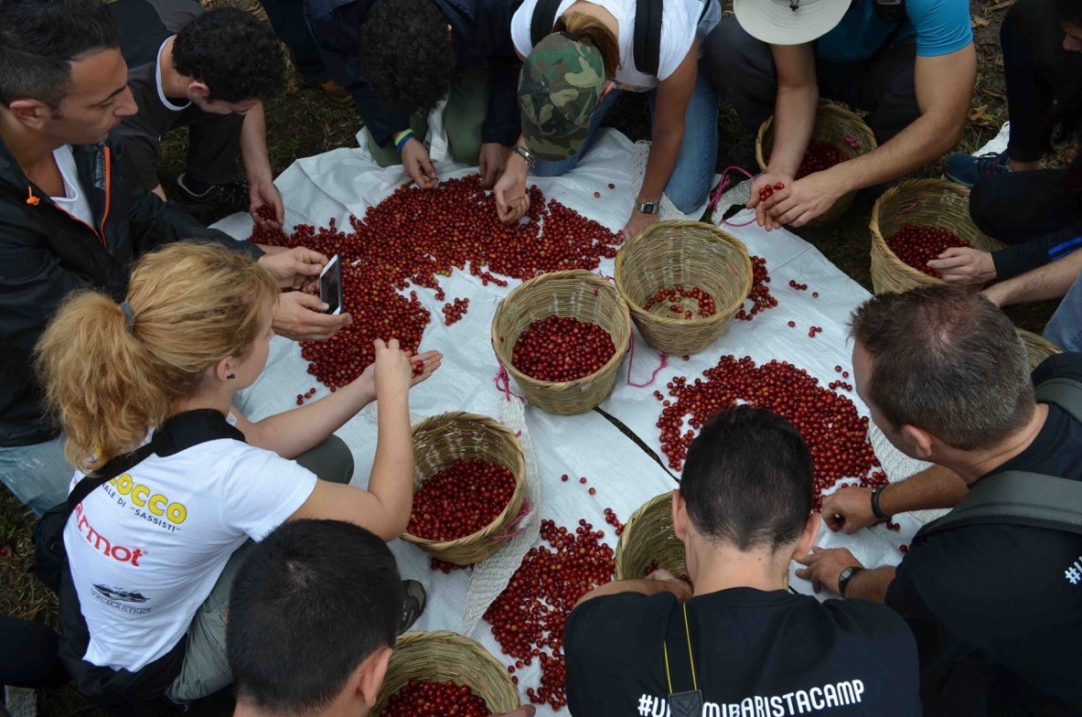 Umami barista Camp in Honduras: dalla raccolta del caffè al cupping