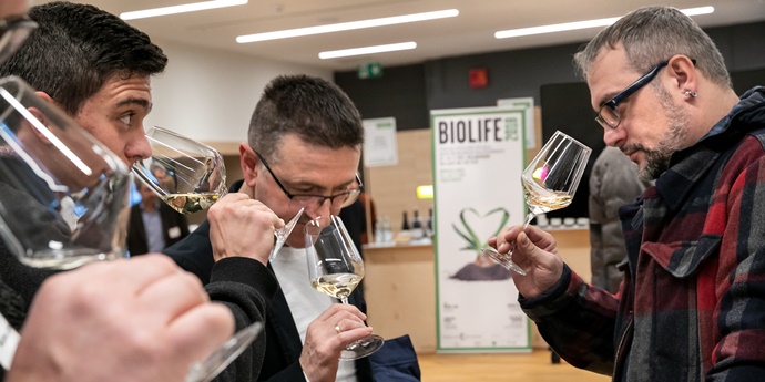 Bio Wine Festival: focus sui vini biologici del Trentino AltoAdige